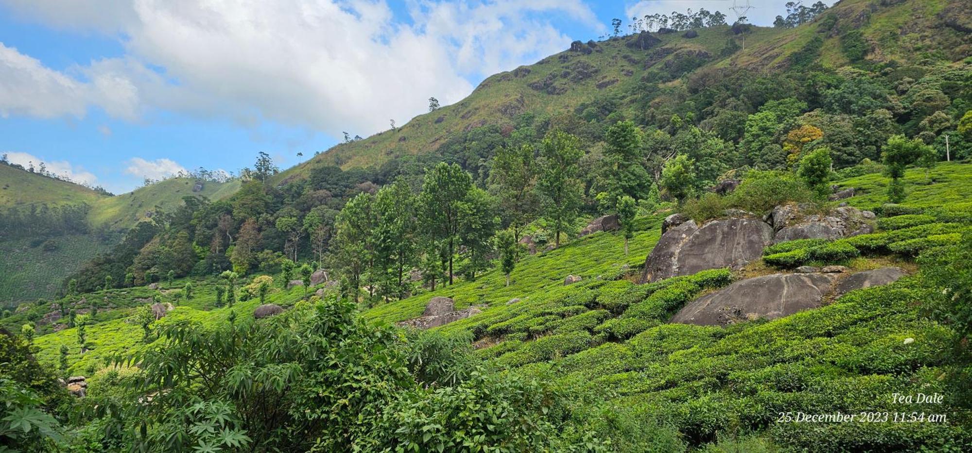 Tea Dale - All Rooms With Tea Estate View Munnar Exterior foto