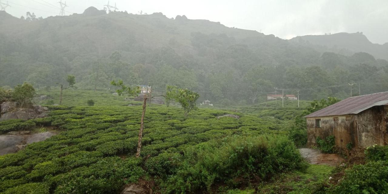Tea Dale - All Rooms With Tea Estate View Munnar Exterior foto
