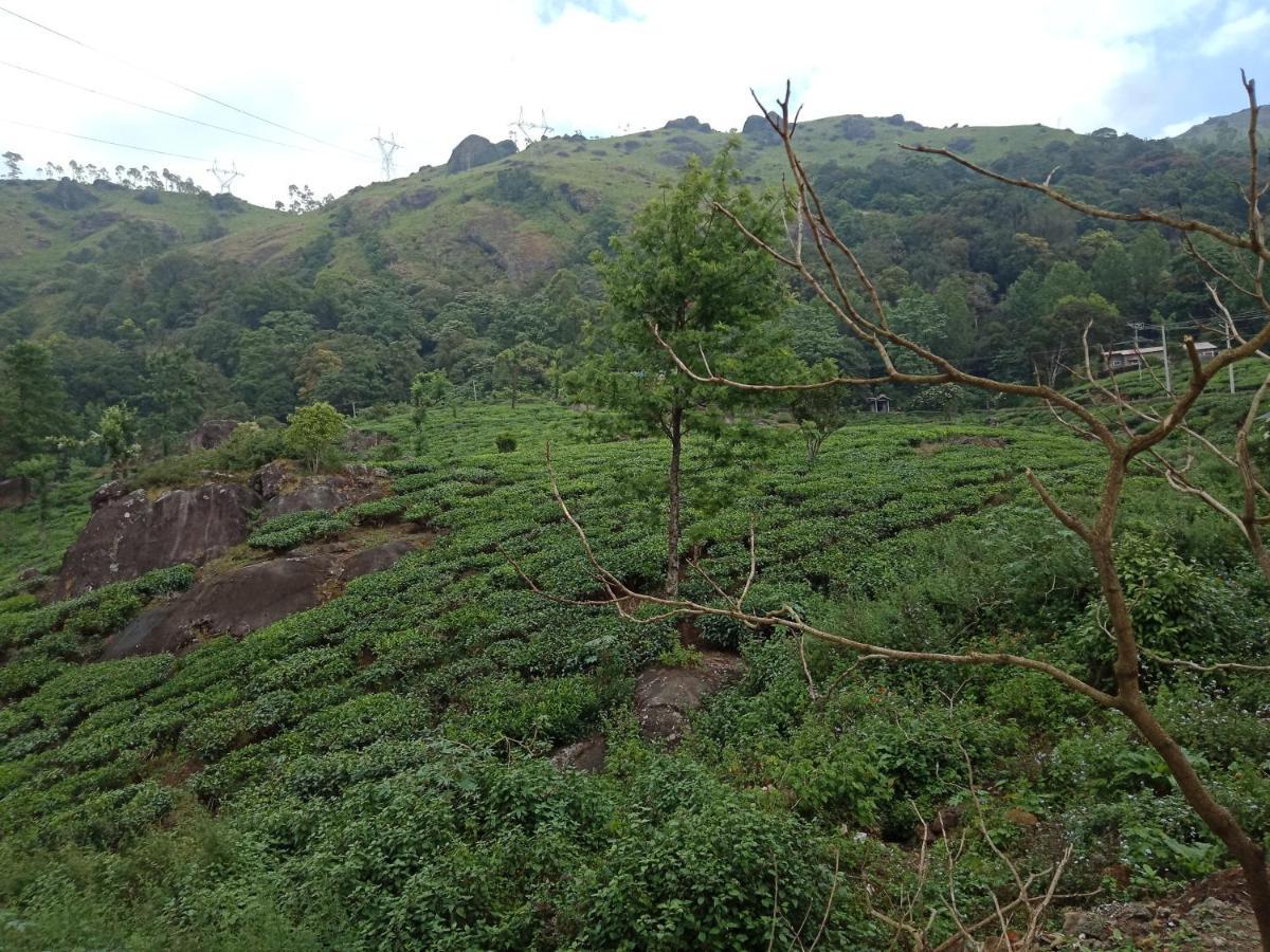 Tea Dale - All Rooms With Tea Estate View Munnar Exterior foto